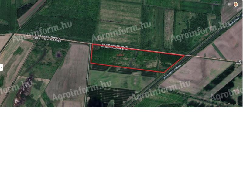 Befektetésnek kiváló 18+6 ha tölgyes és 1,6 ha egyéb erdő eladó,  esetleg csere