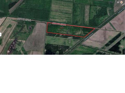 Befektetésre kiváló 24,34 ha tölgyes és 1,6 ha egyéb erdő eladó