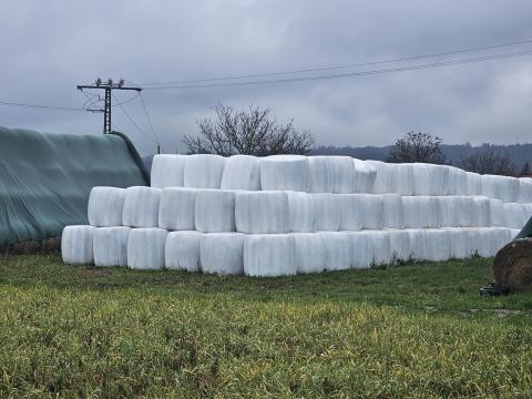 Lucernaszenázs-bála Lucernaszenázs-bála