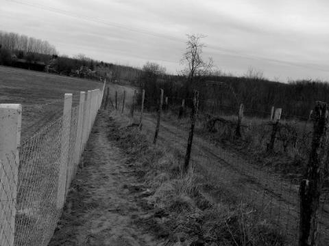 Gyártótól! Drótfonat, drótkerítés, pengés huzal, tüskés drót, kerítés építés, vadháló Gyártótól! Drótfonat, drótkerítés, pengés huzal, tüskés drót, kerítés építés, vadháló