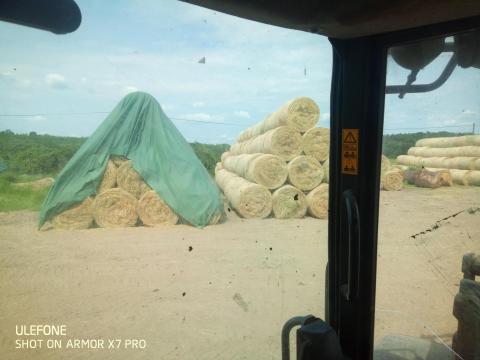 Széna bála eladó Széna bála eladó