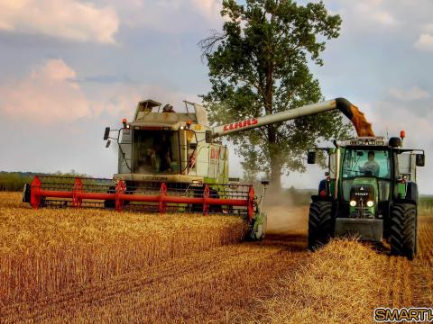 Béraratás Béraratás