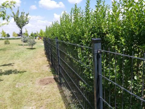 Táblás kerítés,  kerítéspanel,  kerítésrendszerek,  vadháló,  drótfonat,  kapu,  oszlop Táblás kerítés,  kerítéspanel,  kerítésrendszerek,  vadháló,  drótfonat,  kapu,  oszlop