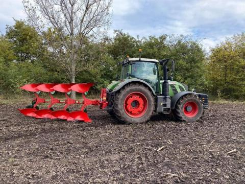 Vogel noot C-Plus 950