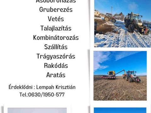 Bérmunkát vállalok Bérmunkát vállalok