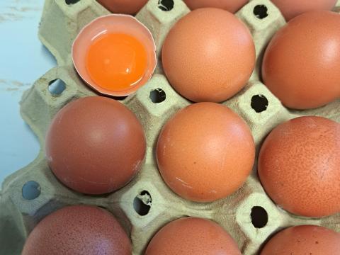 Étkezési tojás termelőtől Étkezési tojás termelőtől