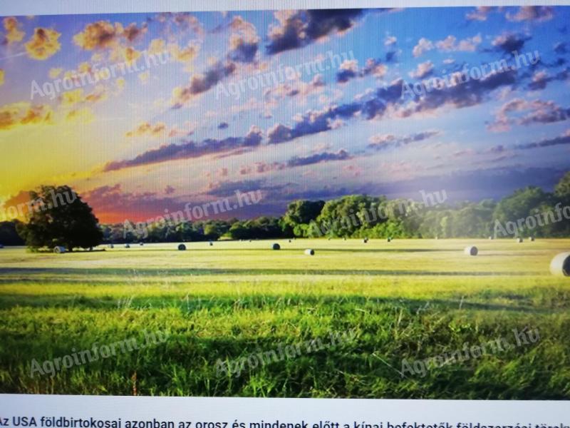Főút mellett eladó 3 hektár mezőgazdasági földterület Sükösdön