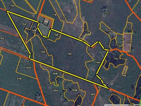 Erdő eladó Sükösdön Erdő eladó Sükösdön