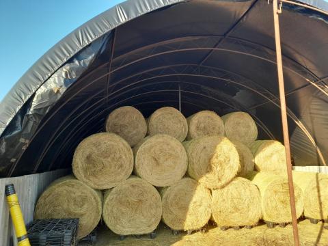 Széna bála 120x120cm