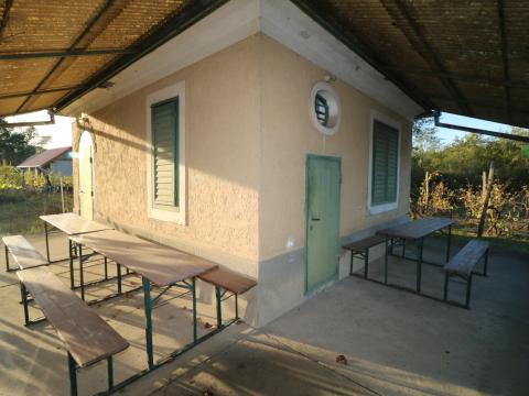 ZÁRTKERTI INGATLAN PINCÉVEL,  PRÉSHÁZZAL,  SZŐLŐS KERTEL TÉGLAÉPÜLETTEL ELADÓ