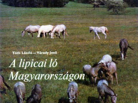 A lipicai ló Magyarországon A lipicai ló Magyarországon
