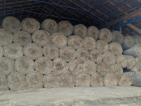 Bio hegyi széna bála eladó