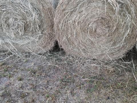 Réti széna eladó Réti széna eladó