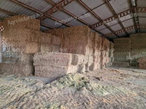 Eladó széna nagykocka Eladó széna nagykocka