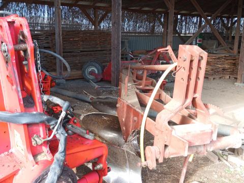 4 fejes eke 4 fejes eke