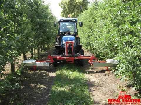 JAGODA GYOMÍRTÓ JAGODA GYOMÍRTÓ