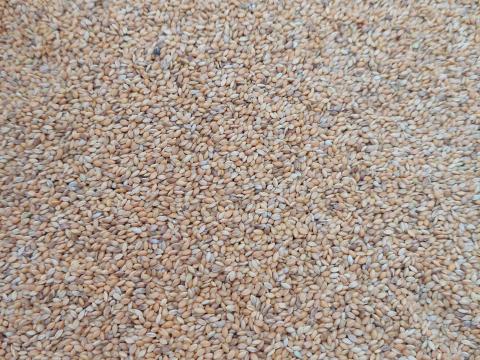 Muhar mag, muharmag, mohar mag eladó postai utánvéttel