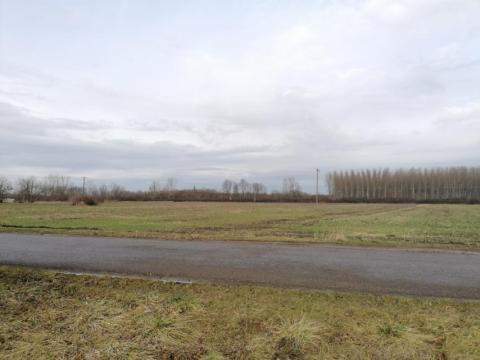 Eladó szántóföld Gyulán, a Csabai úton! Eladó szántóföld Gyulán, a Csabai úton!