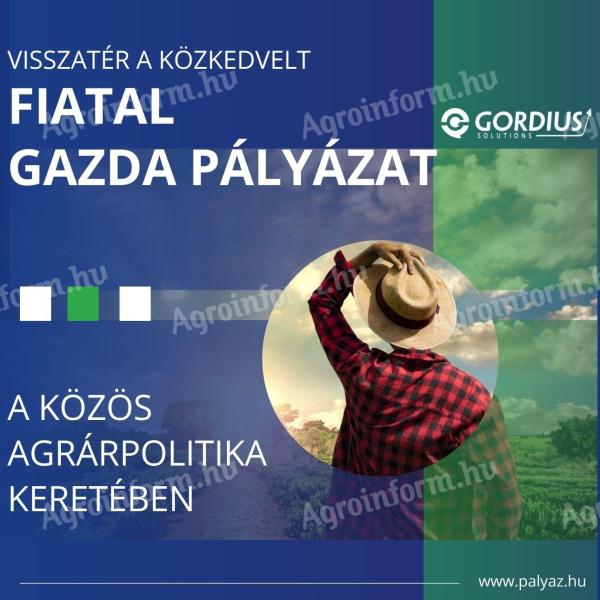 ✍️ Fiatal gazda pályázatírási szolgáltatás