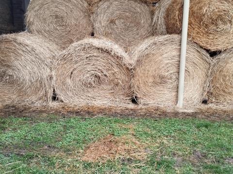 Szalma és zab eladó! Szalma és zab eladó!