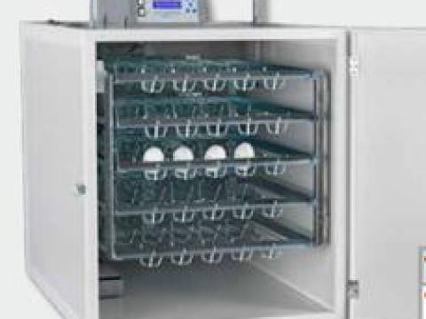 Professzionális keltetőgépek Professzionális keltetőgépek