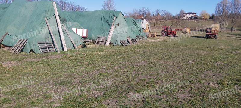 Széna körbála eladó