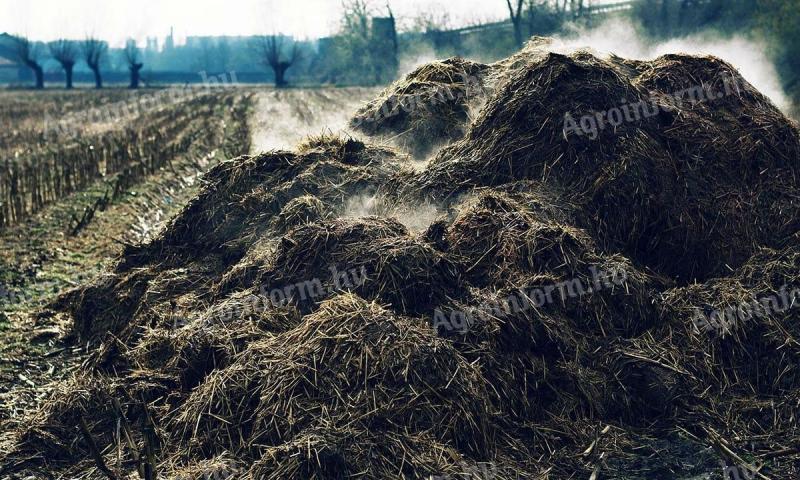 Érett szarvasmarha-trágya,  marhatrágya eladó Debrecenben,  40 kg-os zsákban