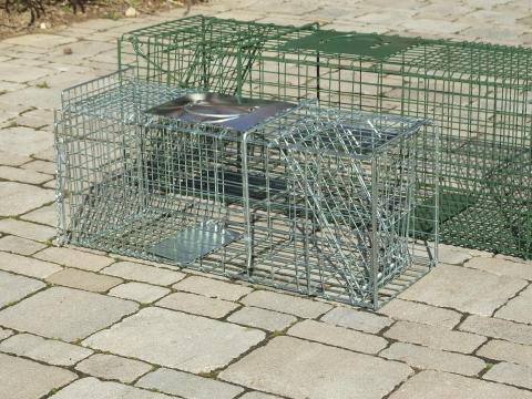 Csapda összecsukható 68 cm (állatbefogóknak No.1) Csapda összecsukható 68 cm (állatbefogóknak No.1)