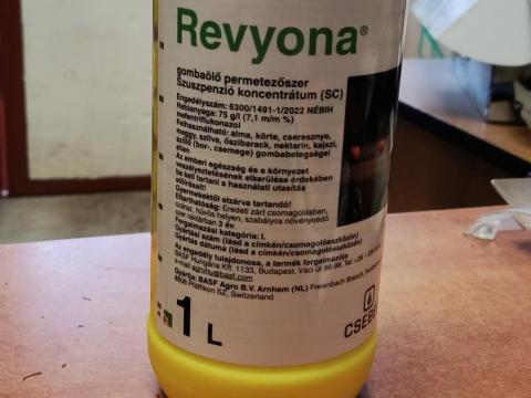 Revyona Revyona
