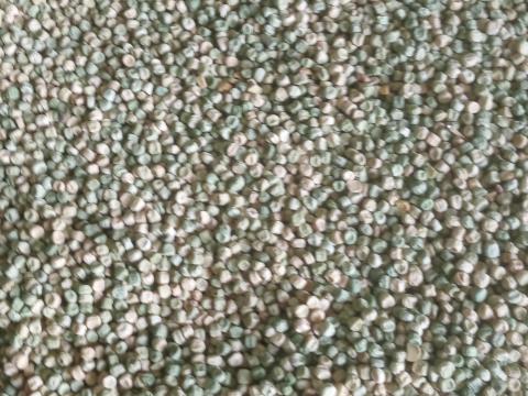 Zöldborsó vetésre és takarmánynak is eladó Zöldborsó vetésre és takarmánynak is eladó