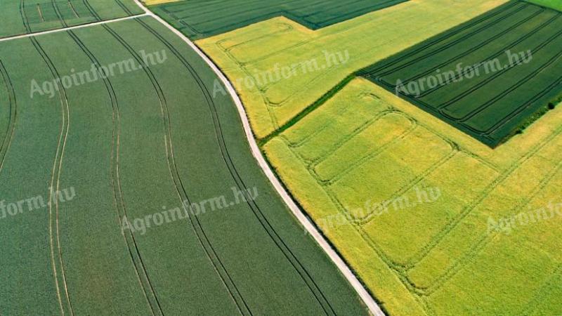 Monostorpályi külterületén mezőgazdasági ingatlan eladó