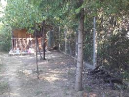 Balatonfűzfő üdülő, nyaraló telek