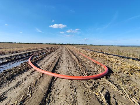 Mandals Dragman prémium tömlő,  köldökcső,  öntözőcső Mandals Dragman prémium tömlő,  köldökcső,  öntözőcső