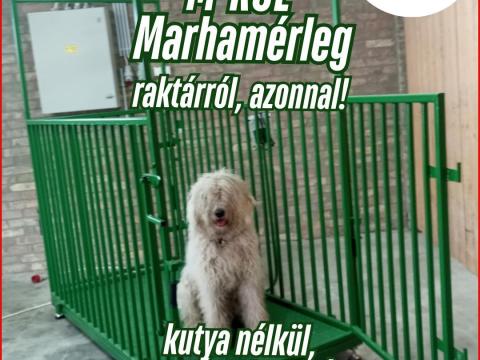 M-ROL Lakitelek! Marhamérleg raktárról azonnal elérhető M-ROL Lakitelek! Marhamérleg raktárról azonnal elérhető