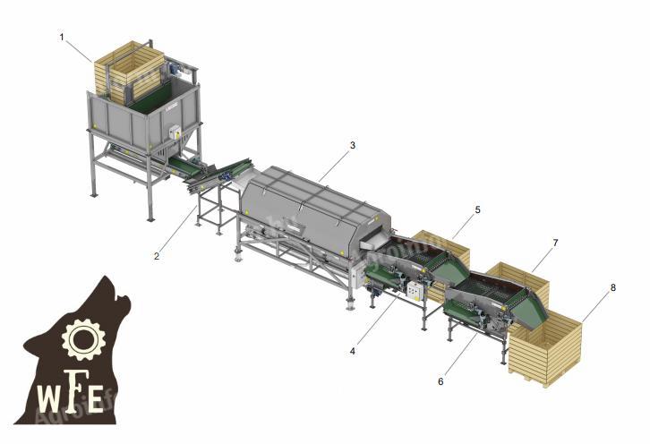 DOMASZ hagyma válogató gépsor eladó a Wolfoodengineering Kft kínálatában