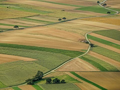 Eladó,  bérbeadó szántóterület Dunaföldvár Eladó,  bérbeadó szántóterület Dunaföldvár