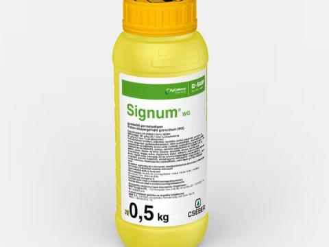 Signum WG Signum WG