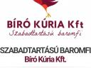 Csirke