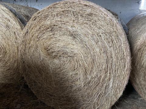 Réti széna körbála eladó