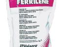 Ferrilene 6