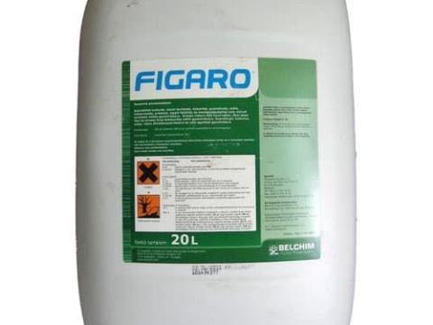 Figaró 360 akció Figaró 360 akció