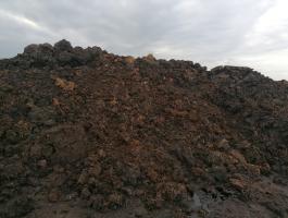 Szarvasmarha trágya eladó