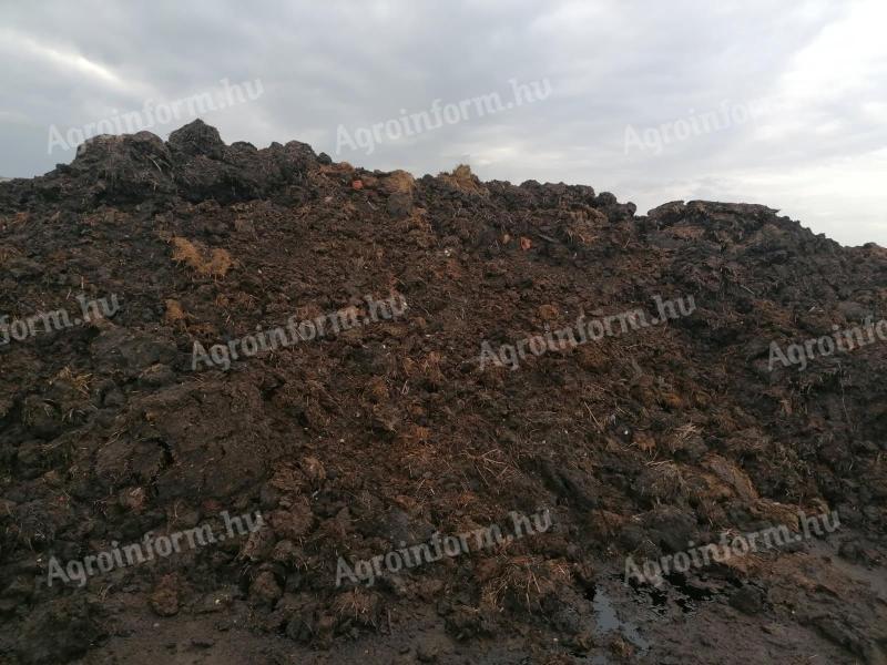 Szarvasmarha trágya eladó