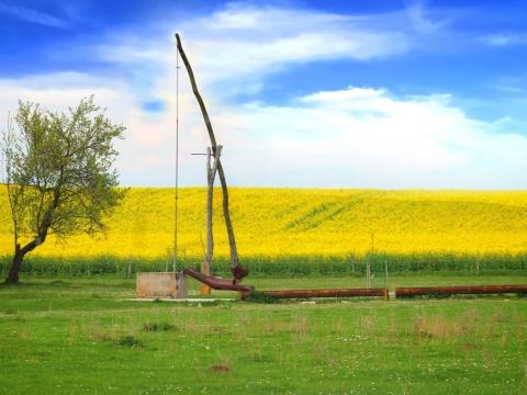 Szegváron bérbeadó termőföldek Szegváron bérbeadó termőföldek