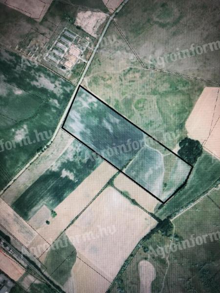Heves megyében, Tarnaszentmiklóson 17,7 hektár termőföld eladó