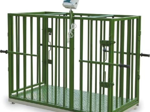 M-ROL WG02 sertésmérleg M-ROL WG02 sertésmérleg