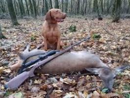 Vadásztanfolyam – Válj profi vadásszá Gyöngyösön