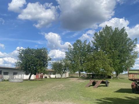 Eladó tanya Eladó tanya