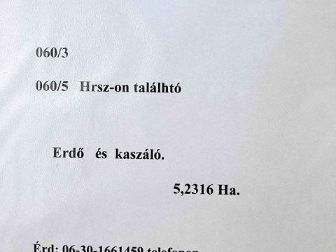 Eladó erdő kaszáló Eladó erdő kaszáló