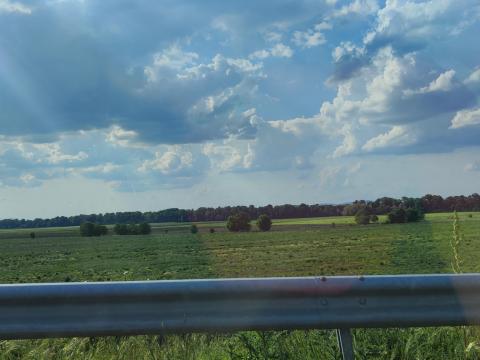 Erdő eladó Mezőkeresztesen Erdő eladó Mezőkeresztesen